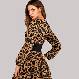 Corset Waist Leopard Print Dress