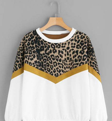 Leopard Panel Drop Shoulder Sweatshirt